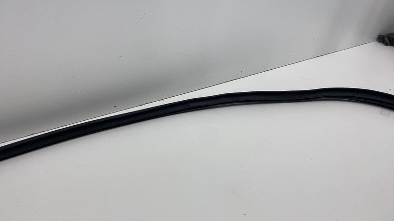 2020-2023 Tesla Model Y MY Front Driver Left Door Body Weatherstrip Rubber Seal