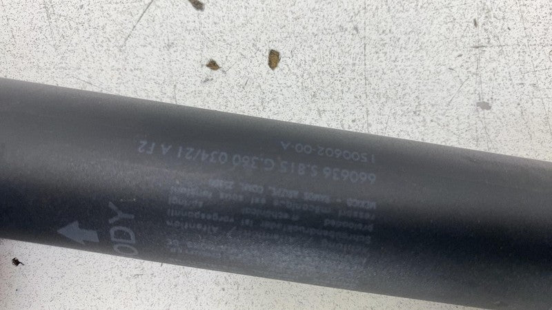 ⭕ 2020-2024 Tesla Model Y Rear Passenger Side Liftgate Strut Right 150