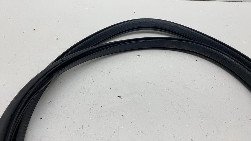 ⭕21-23 Polestar 2 Rear Passenger Side Door Body Weatherstrip Seal Righ