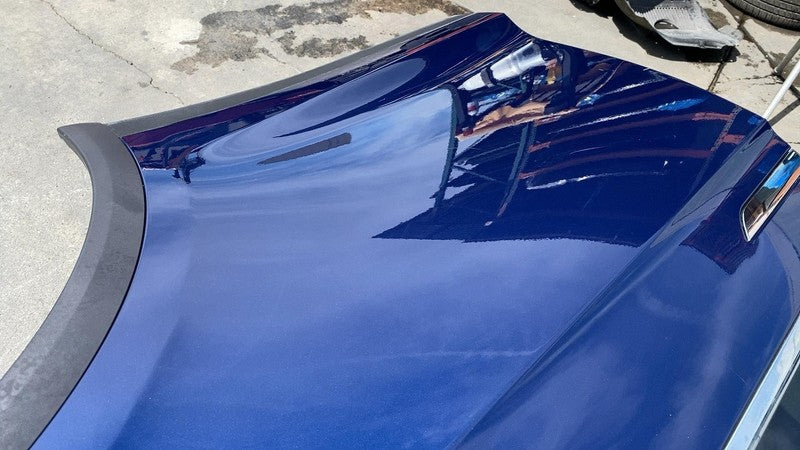 ⭕ 16-24 Tesla Model X Rear Left Falcon Door Shell Panel Blue - PPSB 10