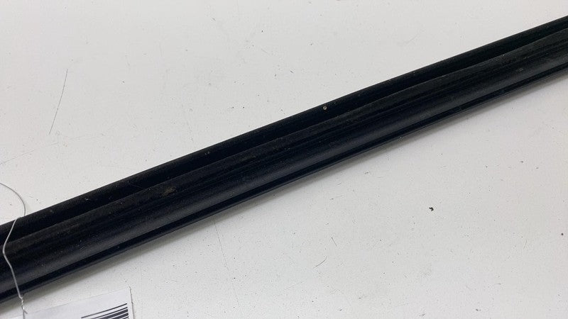 ⭕ 2021-2024 Ford Mustang Mach-E Right Door Window Inner Belt Weatherst