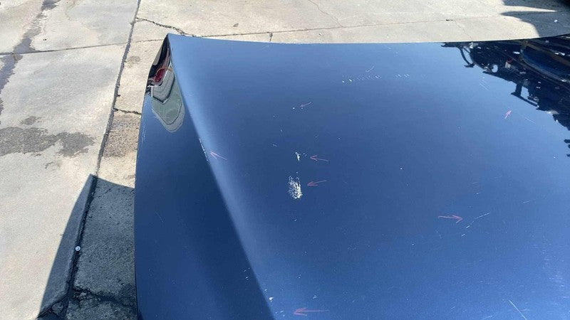 ⭕2012-2015 Tesla Model S MS Front Bonnet Hood Shell Panel Assembly OEM Blue PMMB