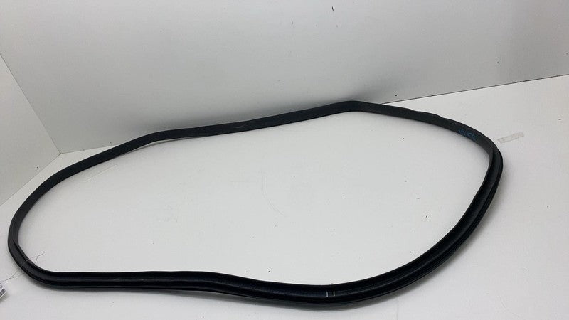 2020-2023 Tesla Model Y Front Passenger Right Door Body Weatherstrip Rubber Seal
