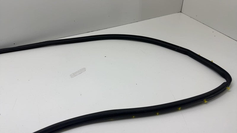 LJ8B-R20530 ⭕ 2021 2022 2023 2024 Ford Mustang Mach-E Front Door Weatherstrip Seal OEM