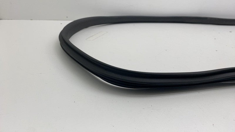 ⭕ 20-24 Model Y Front Left or Right Primary Body Weatherstrip Seal 149