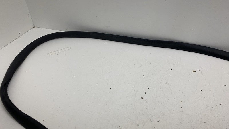⭕ 20-24 Model Y Front Left or Right Primary Body Weatherstrip Seal 149