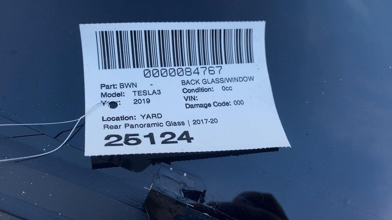 ⭕ 17-20 Model 3 M3 Rear Trunk Panoramic Backlite Glass Back Section 14