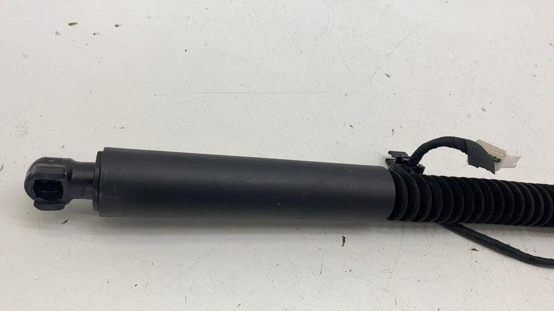 106344000C ⭕ 2016-2024 Model X Rear Left/Front Right Primary Falcon Door Strut 1063440-00-C