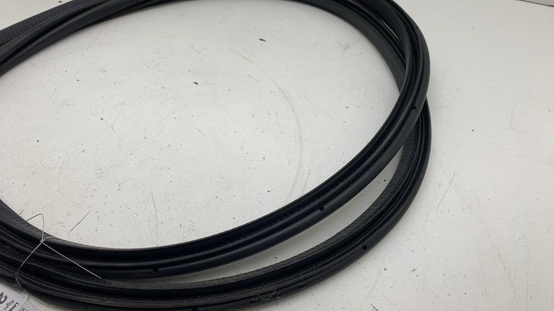 ⭕ 21-23 Polestar 2 Front Passenger Door Body Weatherstrip Seal Right R