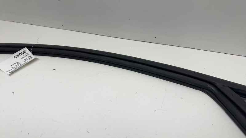 LJ8BR21510AH ⭕ 21-24 Mustang Mach-E Front Right Window Glass Run Channel Seal LJ8B-R21510-AH