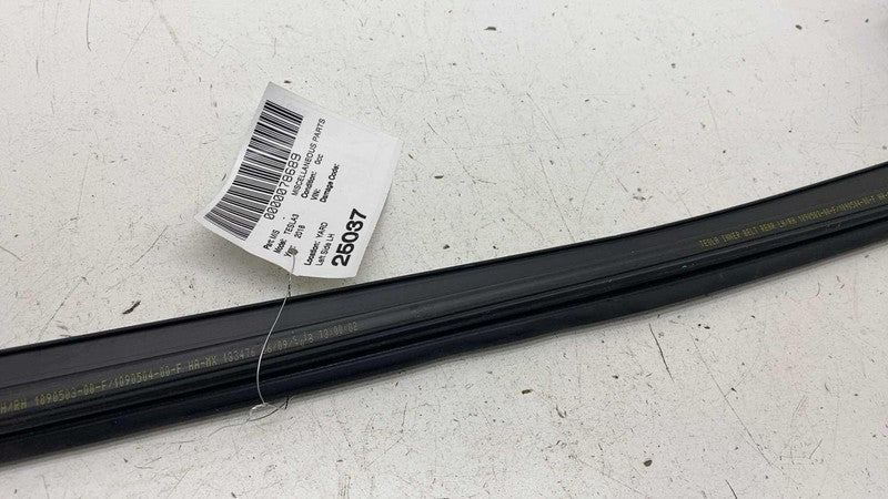 ⭕ 17-23 Model 3 Rear Left Door Window Inner Belt Weatherstrip Seal 109