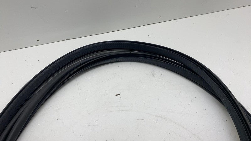 ⭕ 21-23 Polestar 2 Front Passenger Door Body Weatherstrip Seal Right R