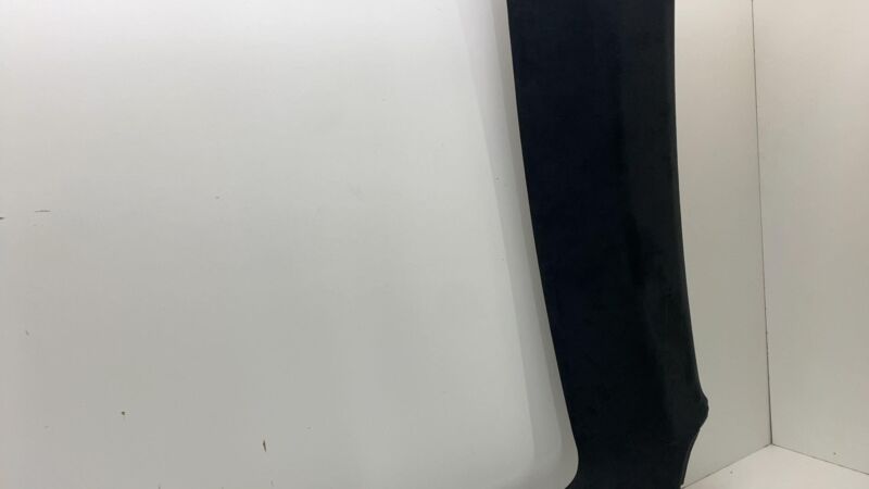 248640300C 2021-2024 Tesla Model S Panoramic Roof Headliner Headlining Ceiling Trim Black