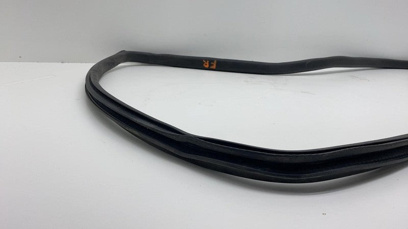2024 Tesla Cybertruck Front Passenger Right Door Seal Gasket Weather S