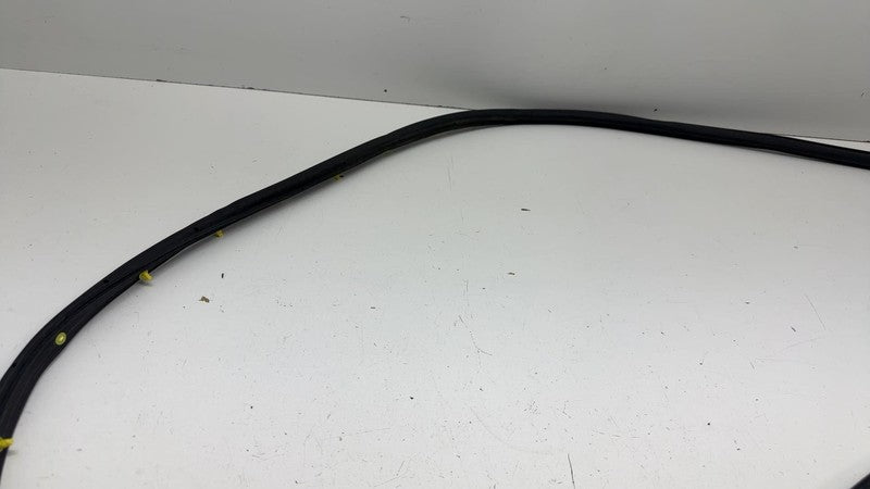 LJ8B-R20530 ⭕ 2021 2022 2023 2024 Ford Mustang Mach-E Front Door Weatherstrip Seal OEM