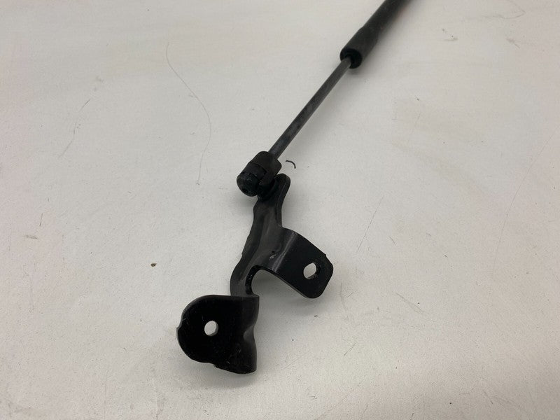 ⭕ 2017-2023 Tesla Model 3 Front Passenger Hood Lift Shock Strut Support Right RH
