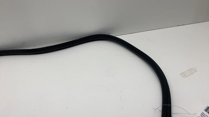 ⭕ 17-23 Tesla Model 3 Rear Driver Side Left Door Primary Weatherstrip 