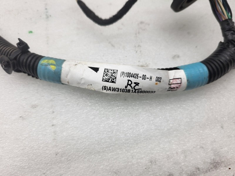 100442600H ⭕ 2012-2020 Tesla Model S Rear Door Wiring Harness Wire Loom Right 1004426-00-H
