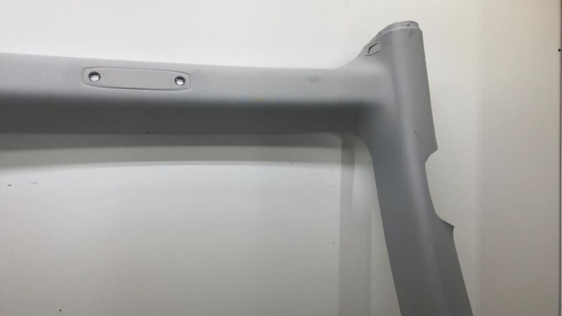 156761301A 2017-2022 Tesla Model 3 M3 Roof Headliner Ceiling Panel Trim Cover & Speaker OEM