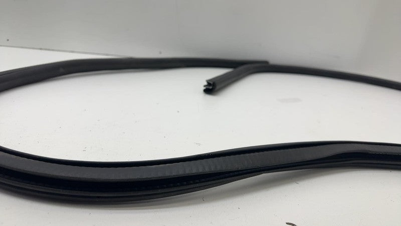 ⭕ 21-24 Mustang Mach-E Front Passenger Right Door Body Weatherstrip Rubber Seal