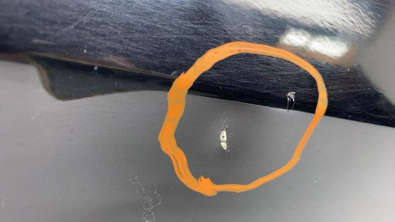 ⭕ 2016-2020 Tesla Model X MX Front Passenger Side Door Shell Panel Rig