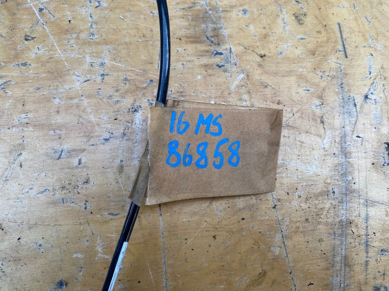 103779600C ⭕ 12-20 Model S Rear Left/Right Intelligent ABS Wheel Speed Sensor 1037796-00-C