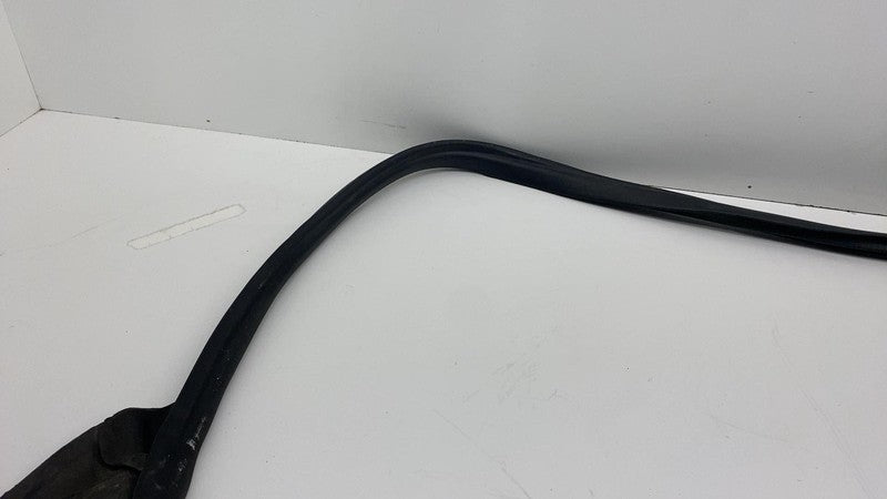 2017-2023 Tesla Model 3 Rear Driver Side Left Door Primary Weatherstri