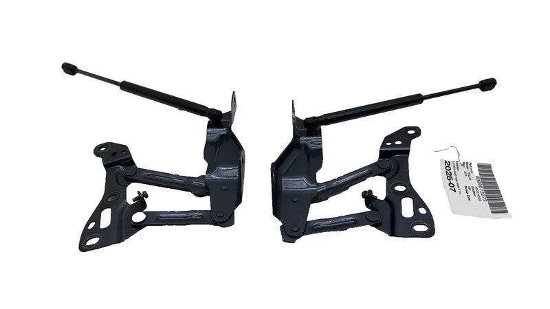 1058041-00-B ⭕16-20 Model X MX Front Left & Right Side Bonnet Hood Hinge w/ Lift Support Assy