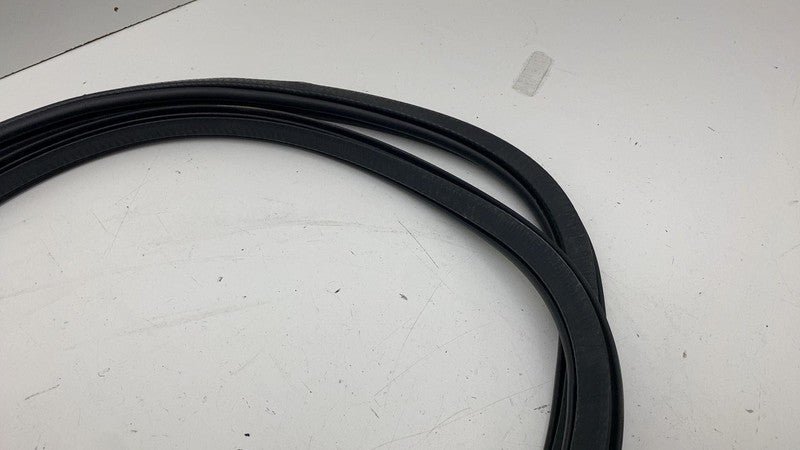 ⭕ 21-23 Polestar 2 Front Driver Side Door Body Weatherstrip Seal Left 
