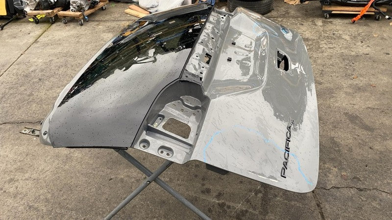 2021-2024 Chrysler Pacifica Trunk Tailgate Liftgate Decklid Shell Panel Gray PDN