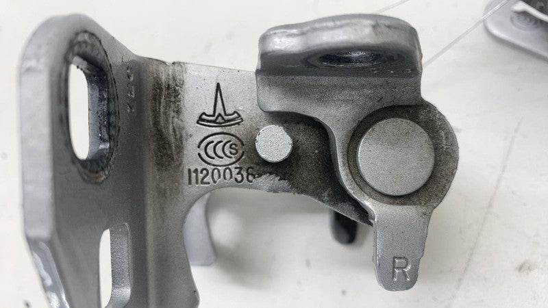 ⭕2012-2020 Tesla Model S Rear Passenger Door Hinge Upper and Lower Rig