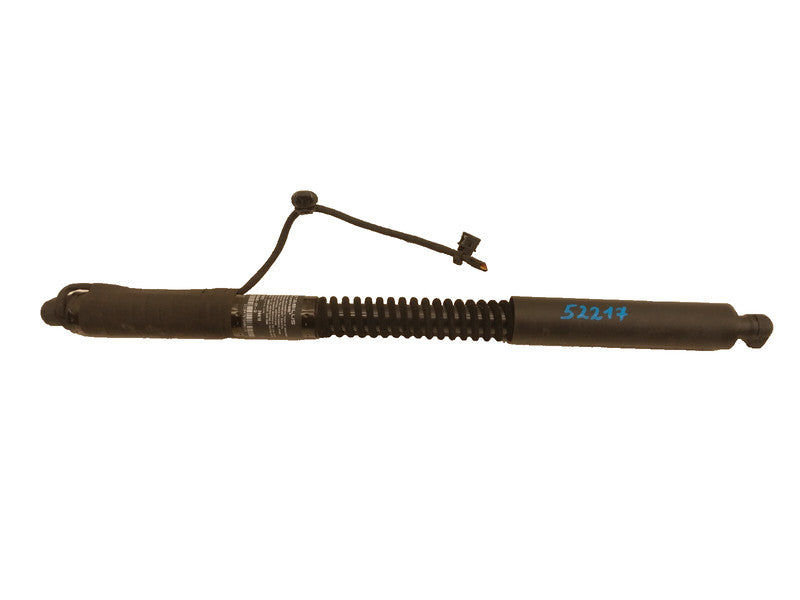 1063440 01 D ⭕ 2016-2023 Model X Front Left / Rear Right Primary Door Lift Strut 1063440-01-D