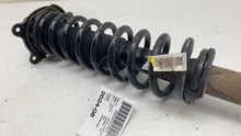 ⭕ 12-20 Model S Rear Left or Right Shock Coil Spring Strut Module 1015620-00-C