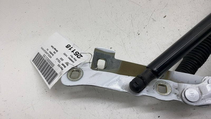 ⭕21-23 Model 3 Rear Left & Right Trunk Liftgate Hinges 1667398-00-B/16
