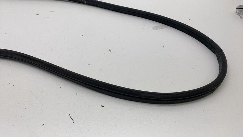 ⭕ 2022-2024 Rivian R1T Front Left or Right Door Body Weatherstrip Rubber Seal