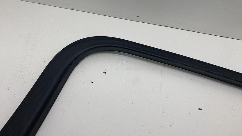 LJ8B-R247B56-A ⭕ 2021-2024 Ford Mustang Mach-E Rear Right Door Window Frame Trim LJ8B-R247B56-A