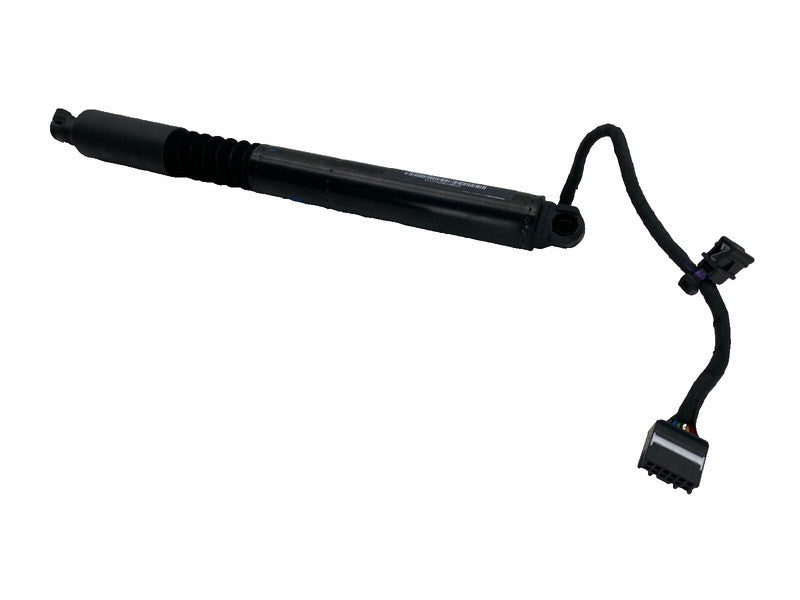 ⭕16-25 Model X Rear Left/Right Secondary Falcon Door Liftgate Strut 10