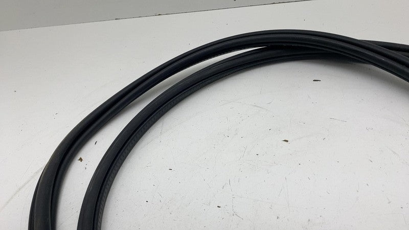 ⭕ 21-23 Polestar 2 Rear Driver Side Door Body Weatherstrip Seal Left L