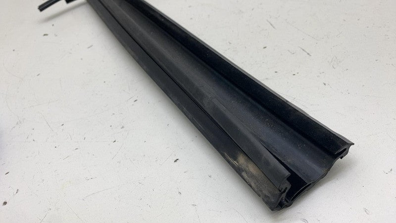 ⭕ 2016-2024 Tesla Model X Rear Driver Side Door Window Seal Left LH 14