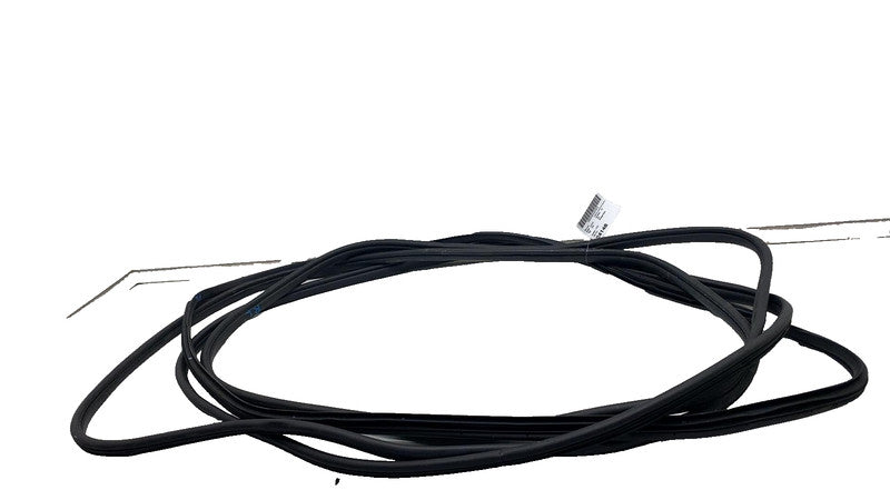2022-2024 Kia EV6 Front & Rear Left  & Right  Door Body Weatherstrip Rubber Seal