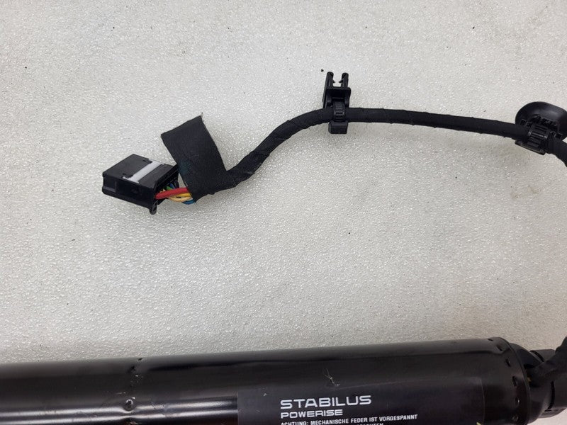 106344100C ⭕16-25 Model X Rear Left/Right Secondary Falcon Door Lift Gas Strut 1063441-00-C