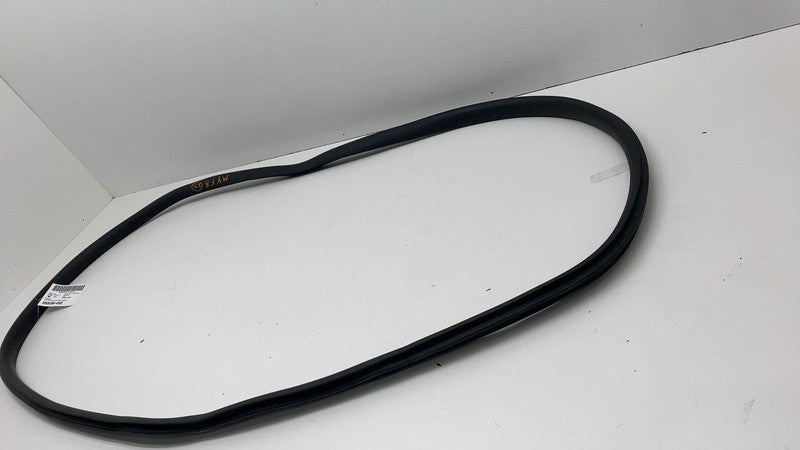 2020-2023 Tesla Model Y Front Passenger Right Door Body Weatherstrip Rubber Seal