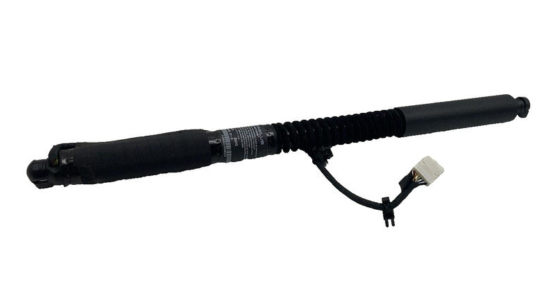 ⭕ 16-20 Model X MX Front Left/Rear Right Primary Falcon Door Strut 1063440-01-C