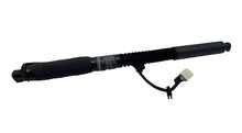 ⭕ 16-20 Model X MX Front Left/Rear Right Primary Falcon Door Strut 1063440-01-C