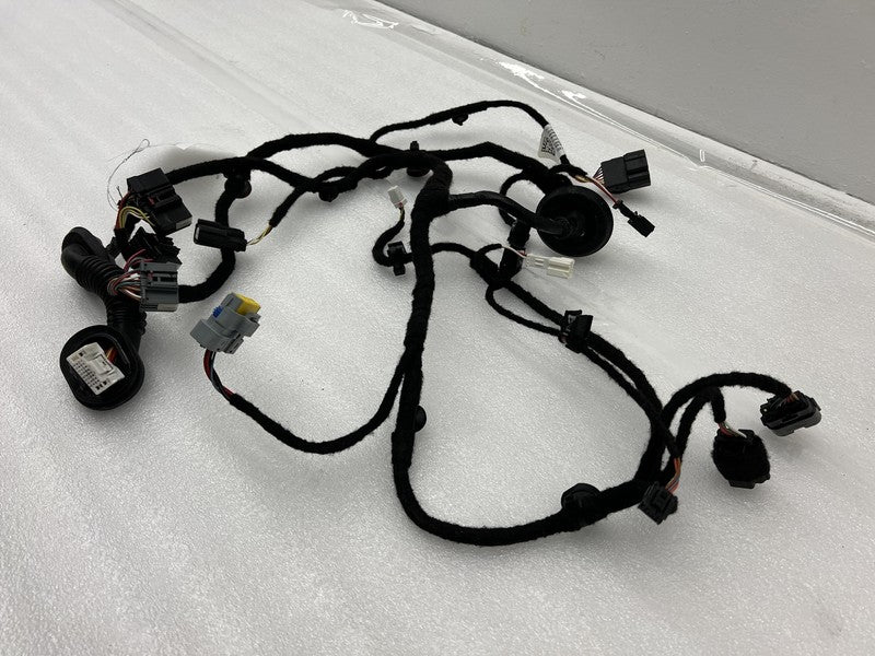 ⭕ 2022-2024 Lucid Air Rear Driver Side Door Wiring Harness Left LH P11