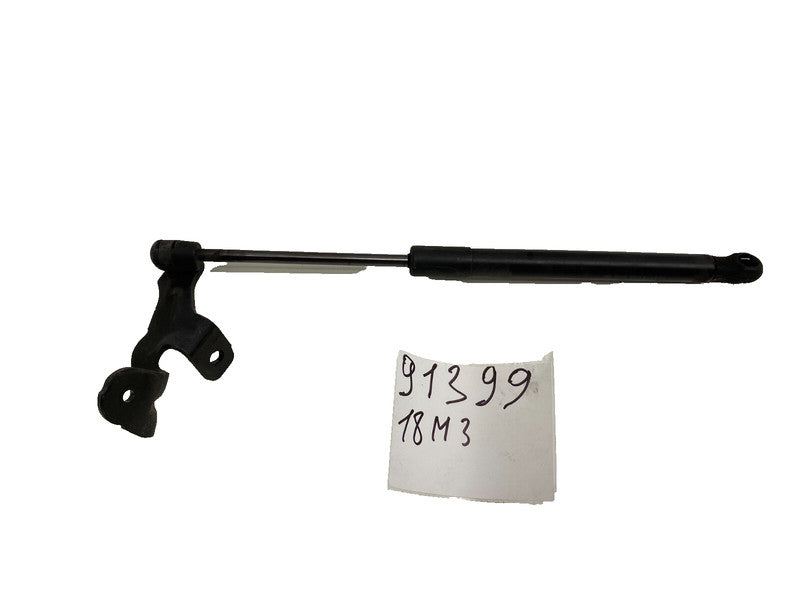 ⭕ 17-23 Tesla Model 3 Front Passenger Side Hood Lift Shock Strut Support Right