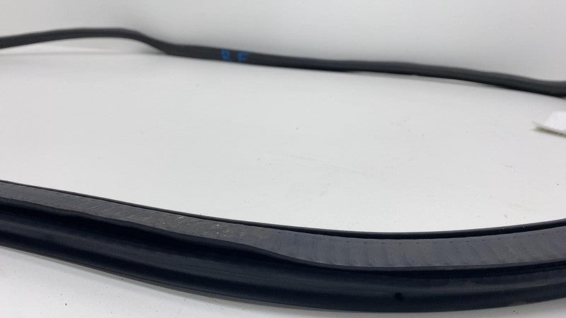 2019-2021 BMW 530e G30 Front Passenger Side Door Weatherstrip Rubber S