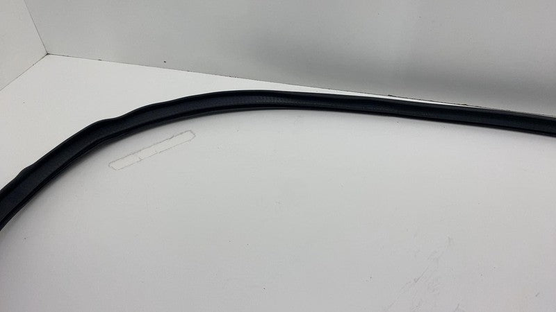 2020-2023 Tesla Model Y MY Front Driver Left Door Body Weatherstrip Rubber Seal