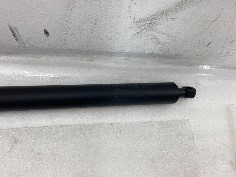 ⭕ 2020-2024 Tesla Model Y Rear Passenger Side Liftgate Strut Right 150