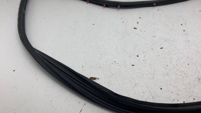 ⭕ 23-25 Toyota Prius Front Right Door Body Weatherstrip Rubber Seal 67